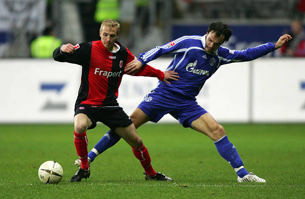 他的缺阵无 他的缺阵无