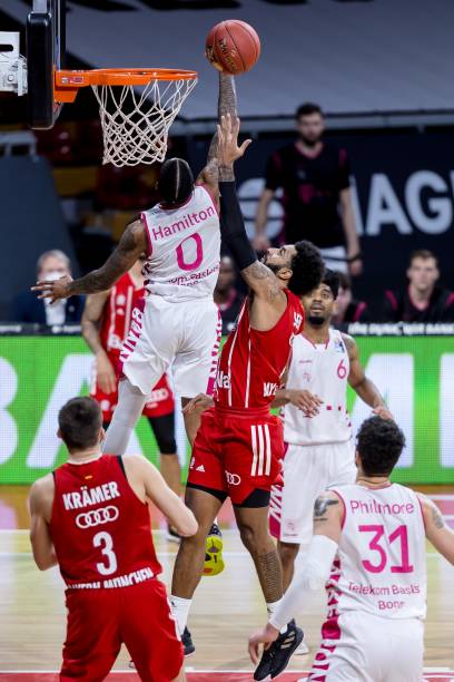 的新体系 的新体系